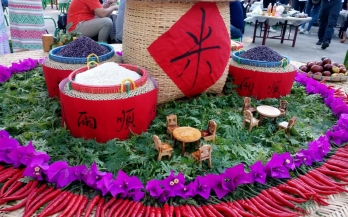 勐遠(yuǎn)仙境新米節獲媒體(tǐ)廣泛關注